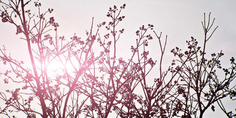 工业设备基础设计与安装：被忽视的地基、对中与振动隔离关键要点