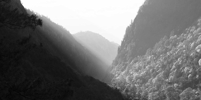 工业设备振动分析实战指南:从频谱解读到精准定位故障,赋能智能制造