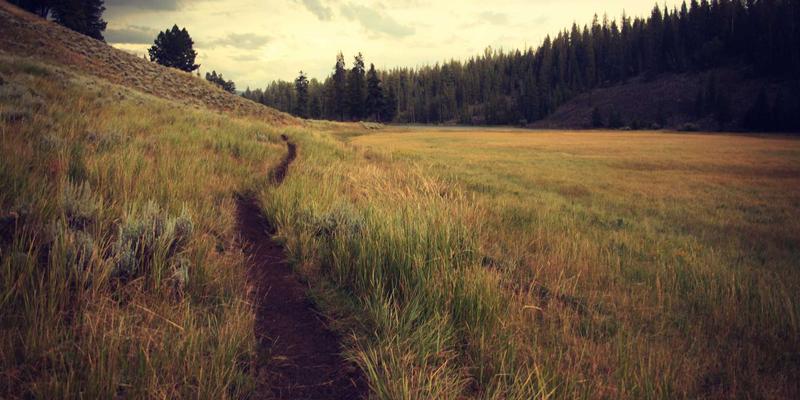 旧机新生:揭秘工业设备再制造如何驱动绿色智造革命