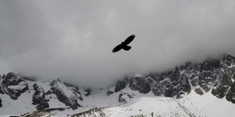 破局严苛工业环境：5G、Wi-Fi 6与私有网络如何赋能智能制造与自动化设备